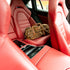 Weekender Travel Bag (Pre-order Special)